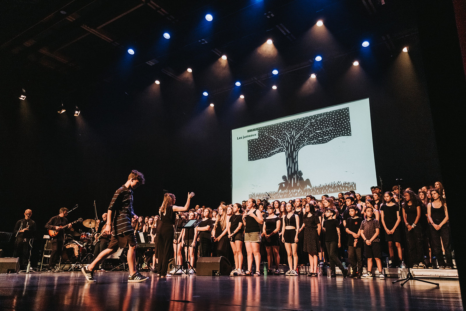 Fadette : la comédie musicale