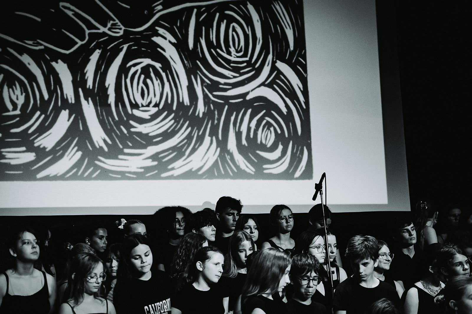 Fadette : la comédie musicale
