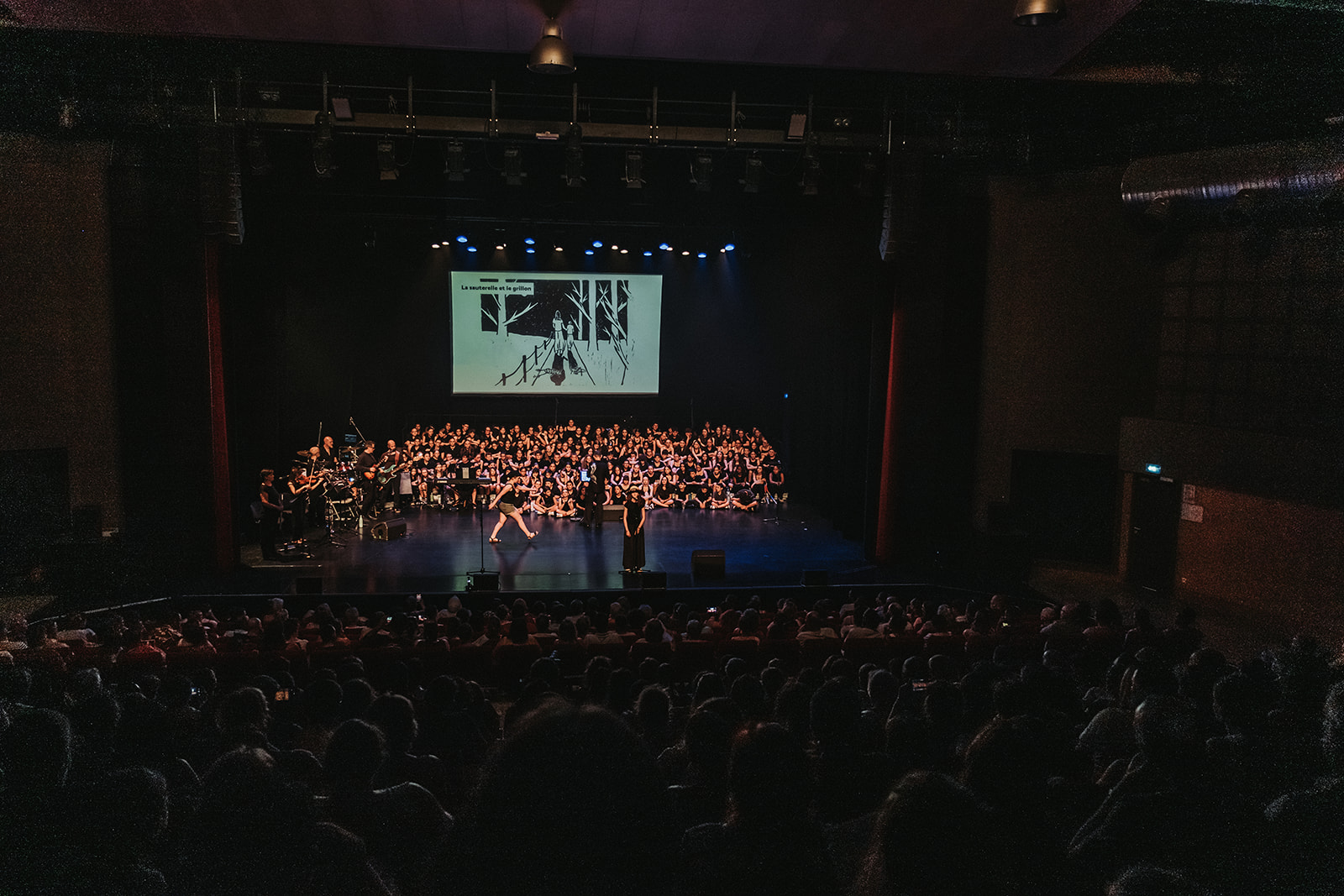Fadette : la comédie musicale